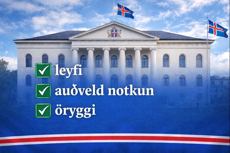 Leyfi netspilavíti, auðveld notkun, öryggi